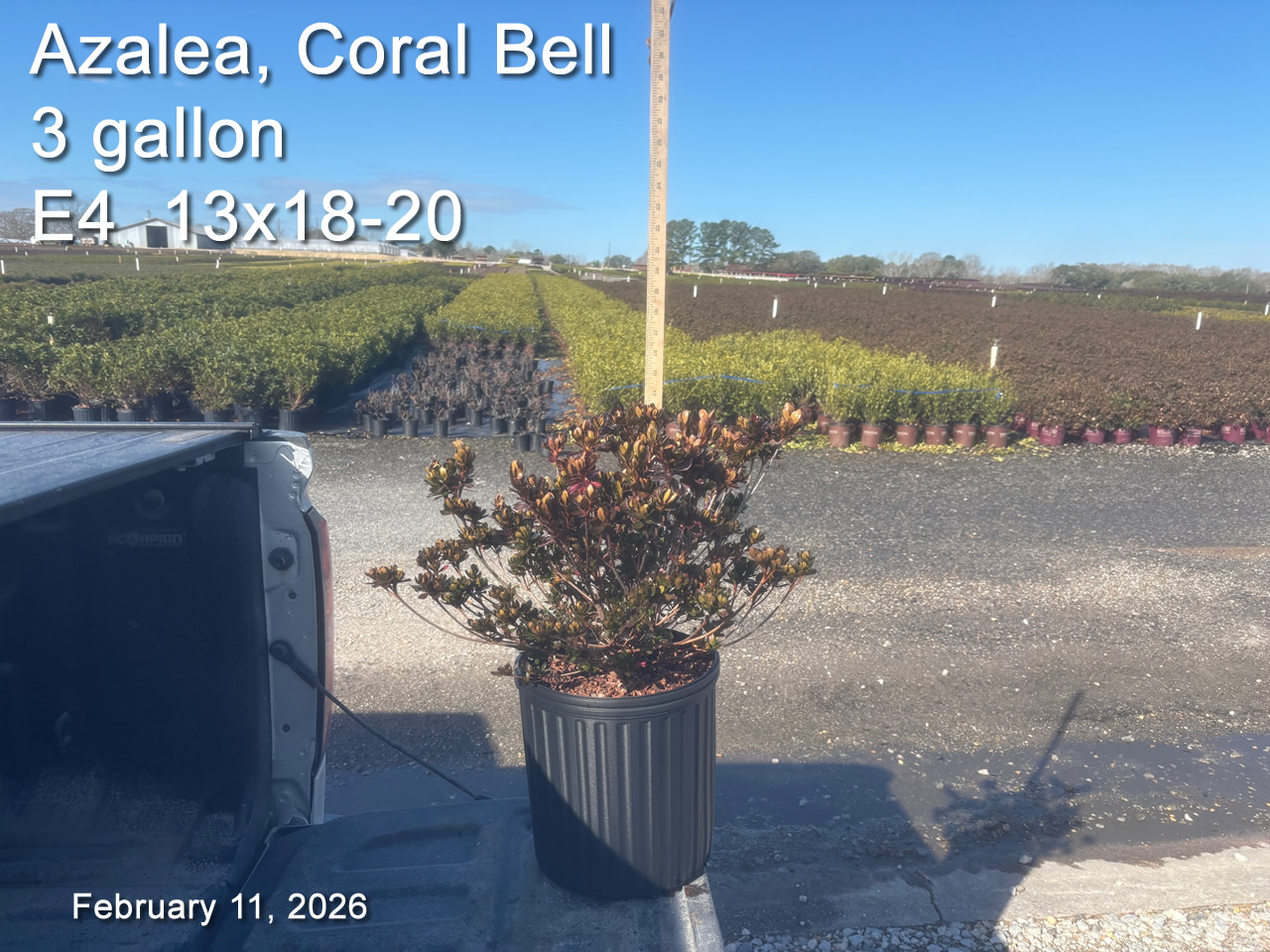 gallery/cb3 e4 feb11.jpg